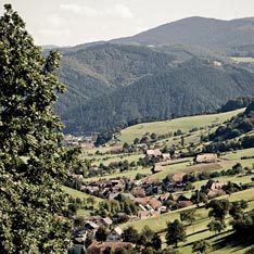 Mehr Stadt als Natur