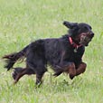 IMG_1510