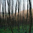 IMG_3147