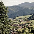 IMG_7725
