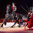 IMG_9155