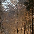natur_08