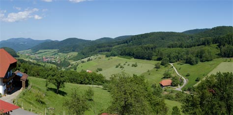 Panorama Welschensteinach